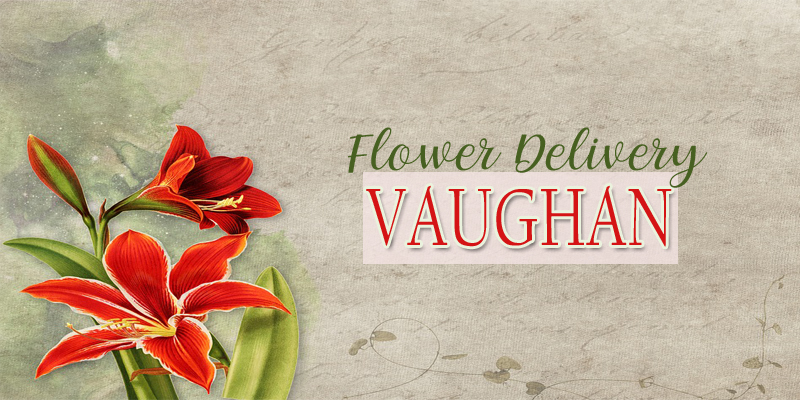 Best Flower Delivery Vaughan
