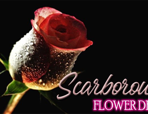 The 6 Best Options for Flower Delivery in Scarborough, UK