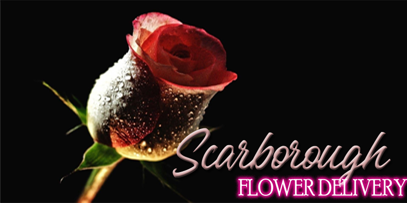 Best Flower Delivery Scarborough UK