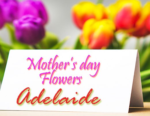 The 6 Best Options For Mother’s Day Flowers in Adelaide