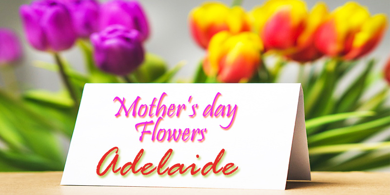Best Mother's Day Flowers Adelaide