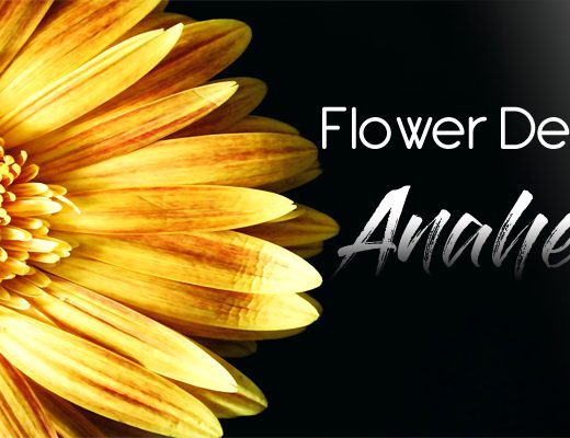 The 10 Best Options for Flower Delivery in Anaheim
