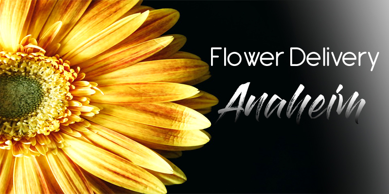 Best Flower Delivery Anaheim