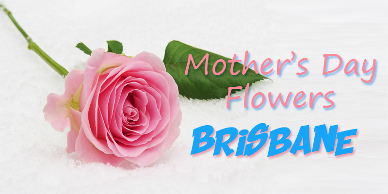 Best Mother's Day Flowers Brisbane