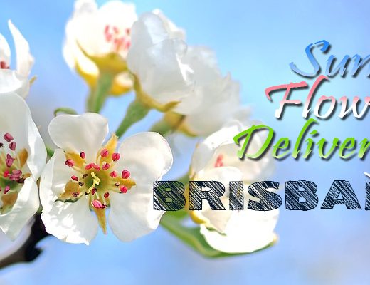 5 Best Sunday Flower Delivery in Brisbane, Australia