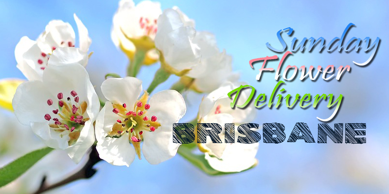 Best Sunday Flower Delivery Brisbane Australia