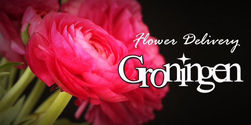 Flower Delivery in Groningen