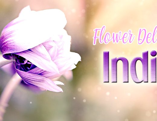 The 13 Best Options for Flower Delivery in India
