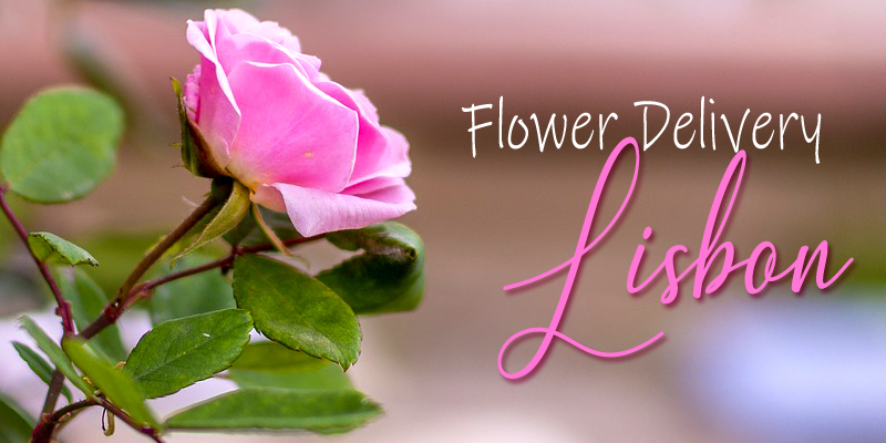 Best Flower Delivery Lisbon