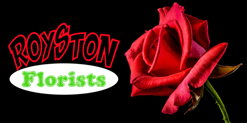 Best Best Florists Royston