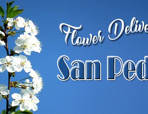 The 8 Best Options for Flower Delivery in San Pedro