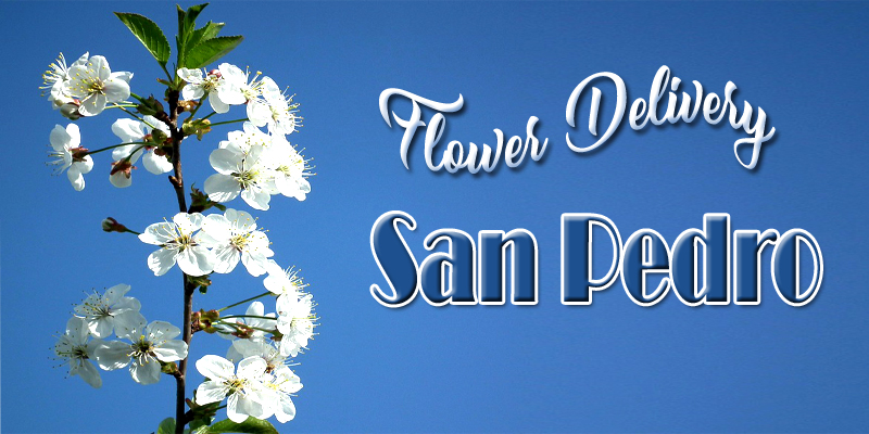 Best Flower Delivery San Pedro
