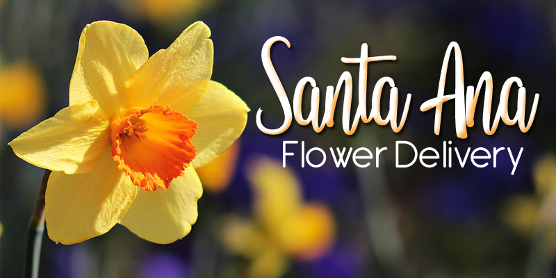 Best Flower Delivery Santa Ana