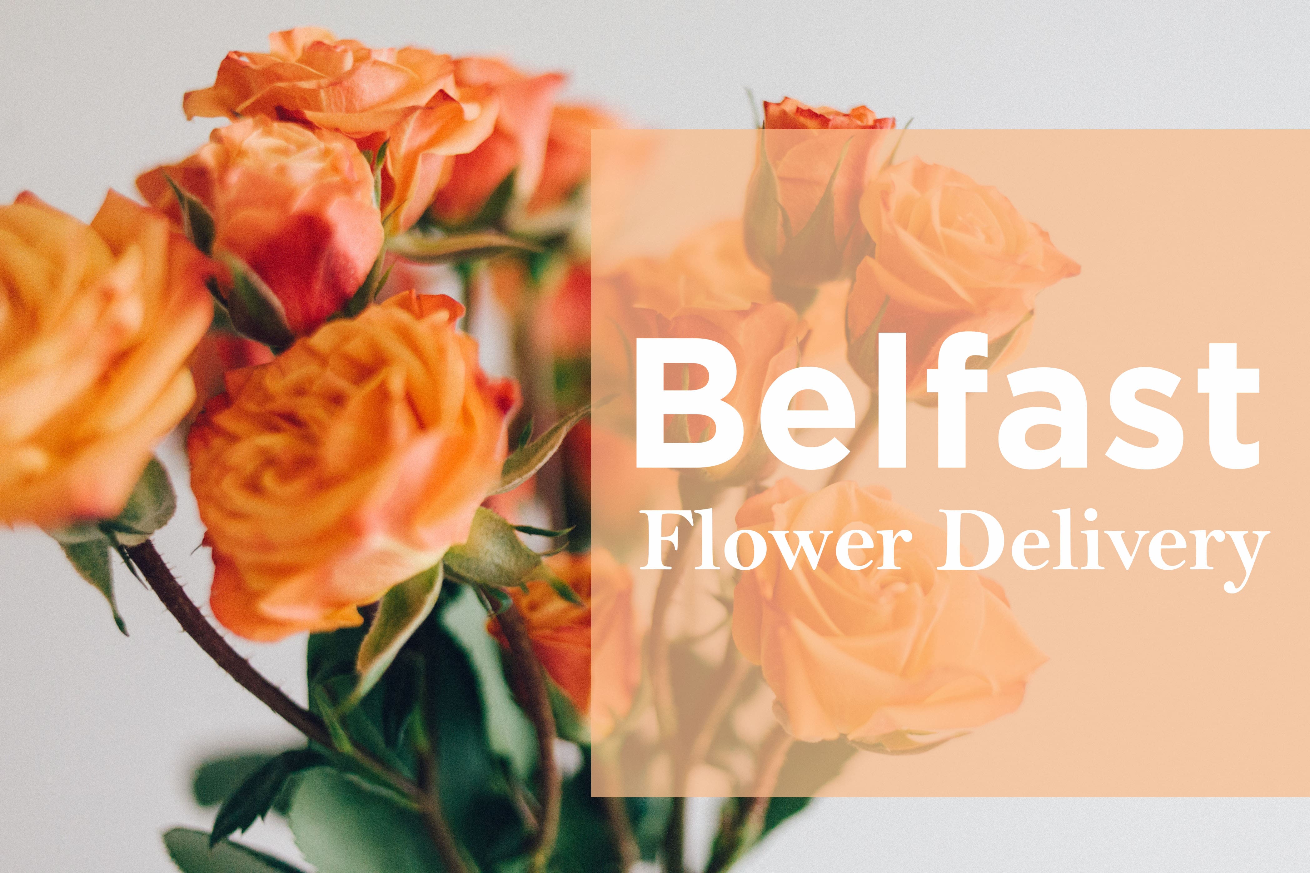 Best Options for Flower Delivery in Belfast