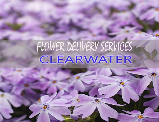 The 9 Best Options for Flower Delivery in Clearwater, Florida
