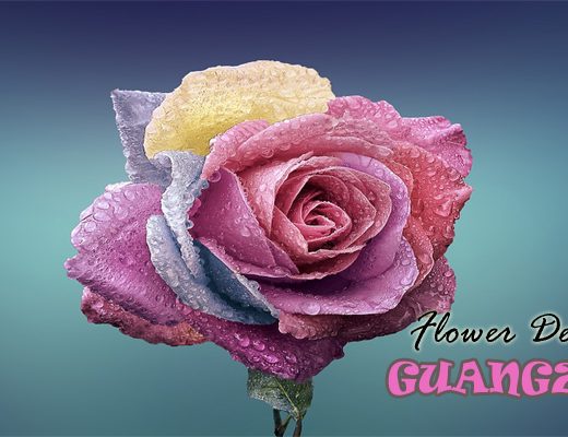 The 6 Best Options for Flower Delivery in Guangzhou