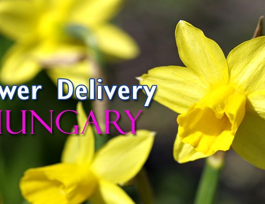 The 9 Best Options for Flower Delivery in Hungary