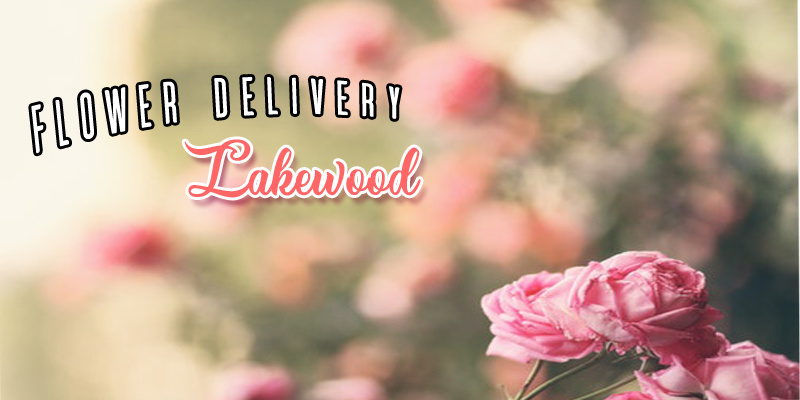 Best Delivery Lakewood Colorado