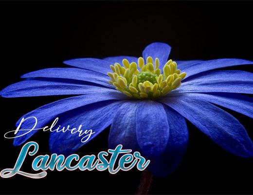 The 7 Best Options for Flower Delivery in Lancaster, UK
