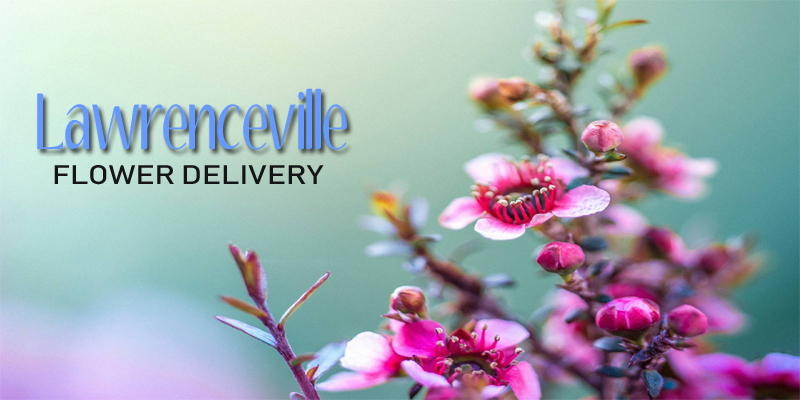 Best Flower Delivery Lawrenceville Georgia