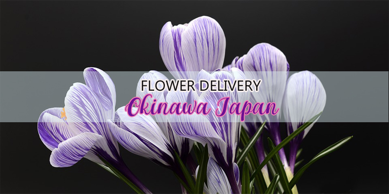 Best Flower Delivery Okinawa Japan