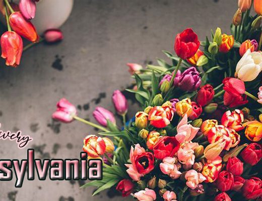 The 12 Best Options for Flower Delivery in Pennsylvania