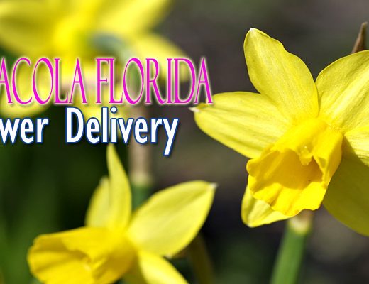 The 8 Best Options for Flower Delivery in Pensacola Florida