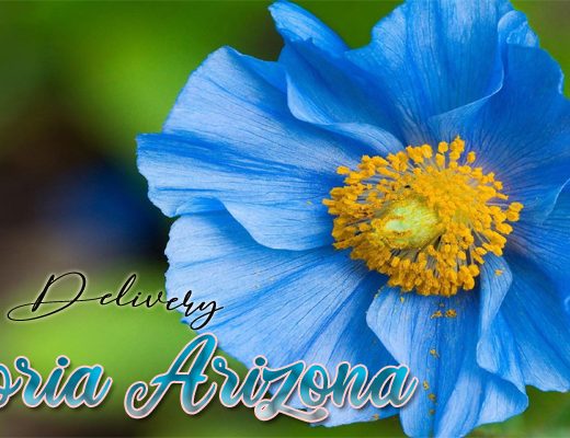 The 8 Best Options for Flower Delivery in Peoria Arizona
