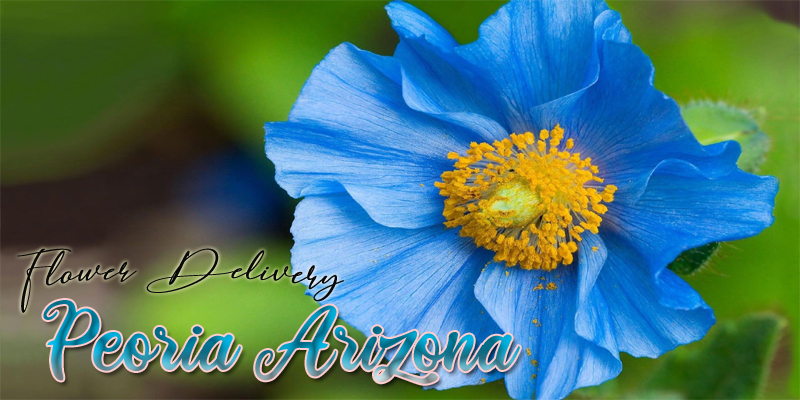 Best Flower Delivery Peoria Arizona