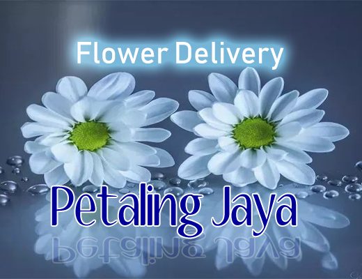 The 20 Best Options for Flower Delivery in Petaling Jaya