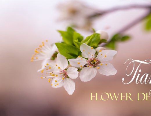 Best Flower Delivery Tianjin