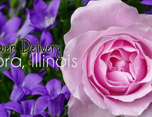 The 7 Best Options for Flower Delivery in Aurora, Illinois