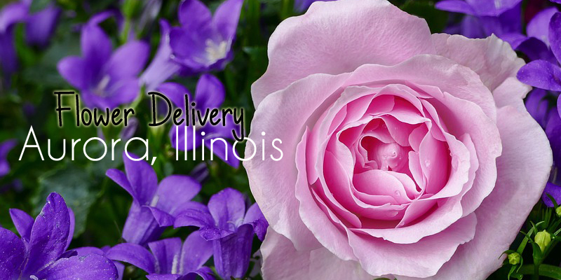 Flower Deliver Aurora Illinois