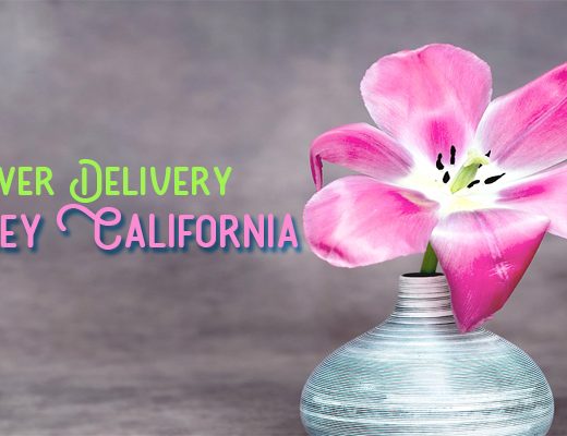 The 13 Best Options for Flower Delivery in Berkeley, California