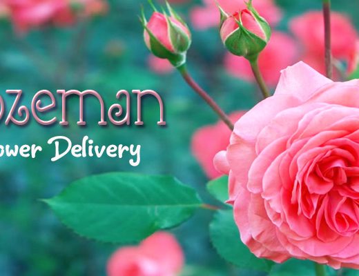 7 Best Options for Flower Delivery in Bozeman, Montana