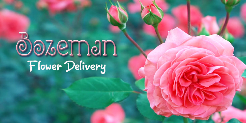 Best Flower Delivery Bozeman Montana