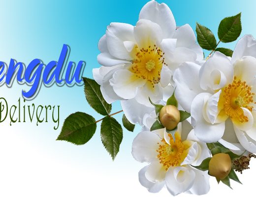The 5 Best Options for Flower Delivery in Chengdu