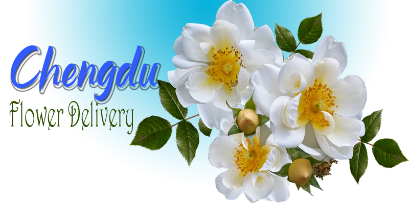 Best Flower Delivery Chengdu