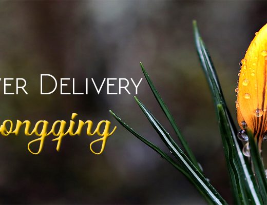 The 5 Best Options for Flower Delivery in Chongqing