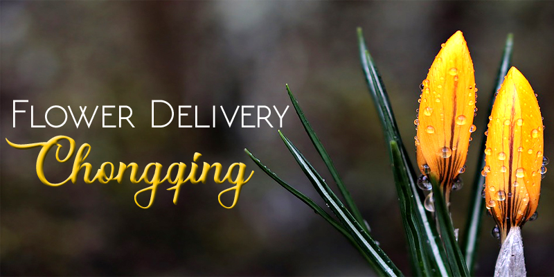 Best Flower Delivery Chongqing