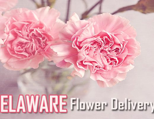 The 10 Best Options for Flower Delivery in Delaware