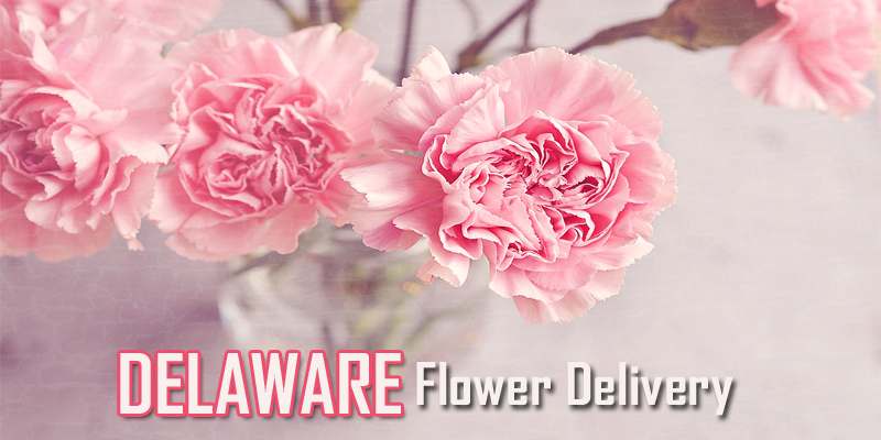 Best Flower Delivery Delaware