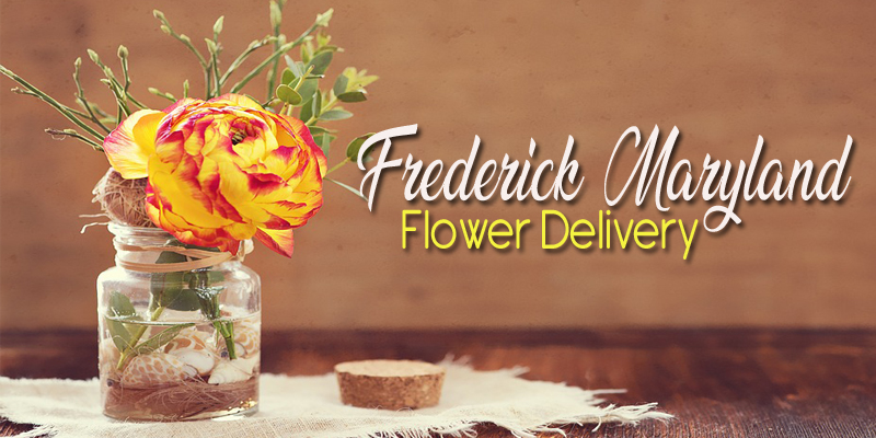 Best Flower Delivery Frederick Maryland