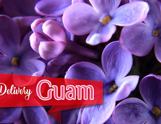 The 6 Best Options for Flower Delivery in Guam