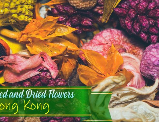 The 8 Best Options for Preserved and Dried Flowers in Hong Kong