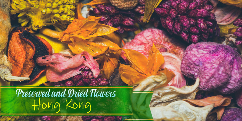Best Preserved and Dried Flowers Hong Kong
