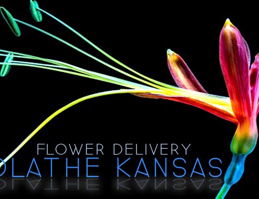 The 10 Best Options for Flower Delivery in Olathe Kansas
