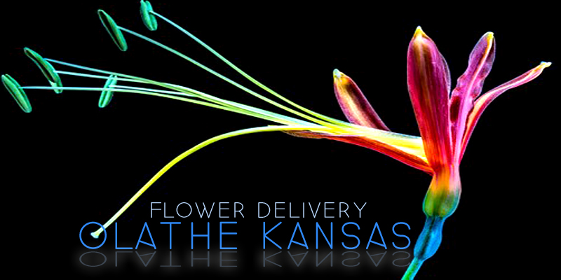 Best Flower Delivery Olathe Kansas