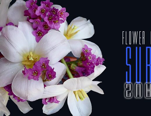 The 4 Best Options for Flower Delivery in Surat