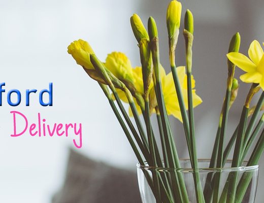 The 7 Best Options for Flower Delivery in Telford, England
